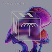 Bonafique Three Spirit