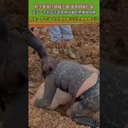 三猪比 退治