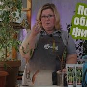 Опадает Листва