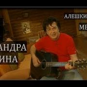Метель Барыкин