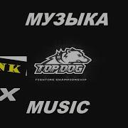 Top Dog Music