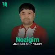 Nozigim