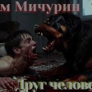 Мичурин Артем Аудиокниги