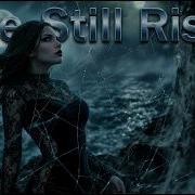 Cyber Sensations Still Rising