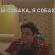 Ты Собака Я Собака