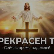 Андрей Тишин Прекрасен Ты