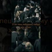 Ту Буд Ҳамон Ҳамон