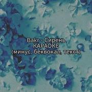 Сирень Минусовка