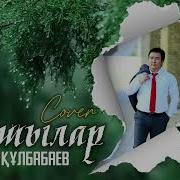 Тамшы Тамшылар Тамады Тамшылар