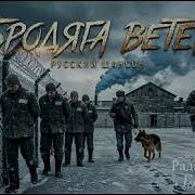 Radion Shvarc Brodaga Veter