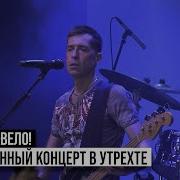 Ногу Свело Концерты