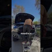 Poznjacoff Рогоносец