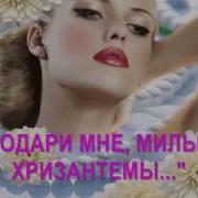 Подари Мне Милый Хризонтемы
