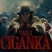 Trile Ciganka