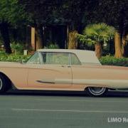 Pink Flamenco Doug Maxwell