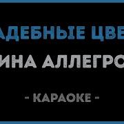 Свадебные Цветы Караоке