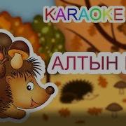 Алтын Куз Ани