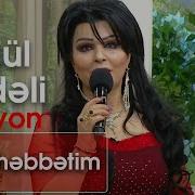 Targul Berdeli