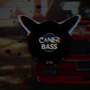 Apcamın Oğlu Bass