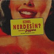 Nerdesin