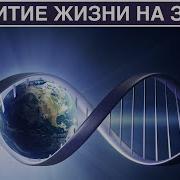 Жизнь На Земле