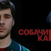 Чбд Богдан Лисевский