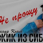 Мужик С Сибири 2026