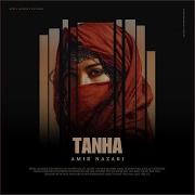 Tanha Amir Nazari
