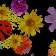 M2 Ukraine Ident 2026