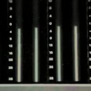 Антология Музыки