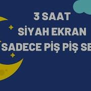 Piş Piş Sesi 3 Saat