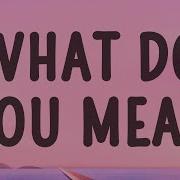 What Do You Mean Lyrics