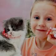 Настя Лучшеесборник