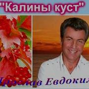 Калины Куст Минусовка