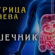 Матрица Гаряева Для Желудочно Кишечного Тракта