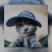 Монеточка Кис Кис Speed Up