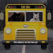 Catscovers