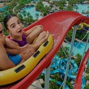 Аминка Кикидо