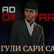 Гули Сари Сабад