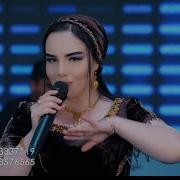 Мехронаи Хайриддин 2023