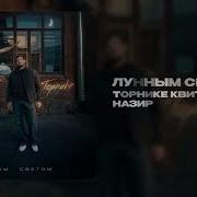 А Лунным Светом Ты Приласканная