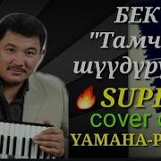 Cover Тамчы Шудурум