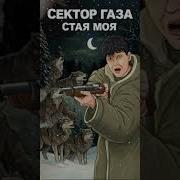 Частный Сектор Стая