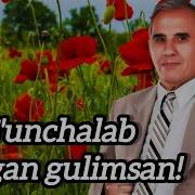 Гунчалаб Турган Гулимсан
