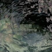 红昭愿 摇摆Dj版