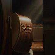 Красные Розы Sly Fox