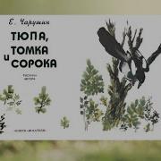 Сорока Чарушин Слушать