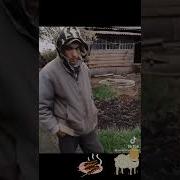 Жарим Шашлык