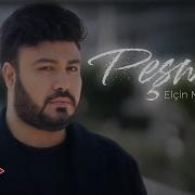 Elcin Meherremov