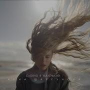 Анна Шаркунова